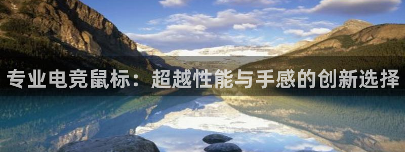 MK电竞官网：专业电竞鼠标：超越性能与手感的创新选择