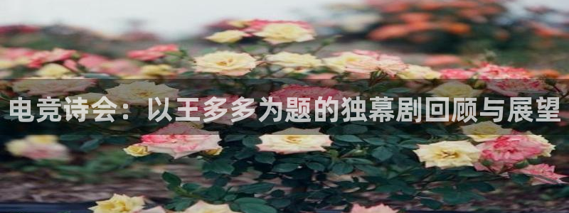 MK电竞：电竞诗会：以王多多为题的独幕剧回顾与展望