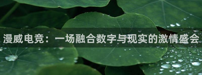 MK电竞官网：漫威电竞：一场融合数字与现实的激情盛会