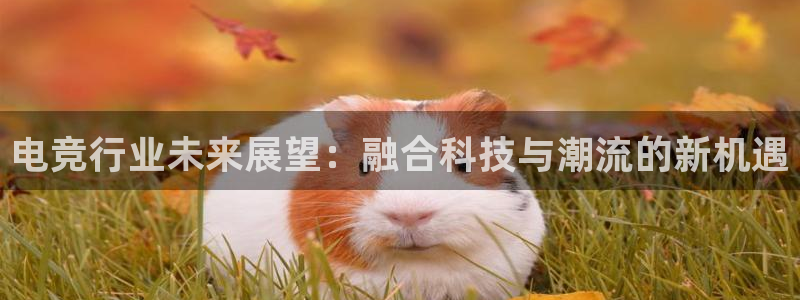 mk电子竞技：电竞行业未来展望：融合科技与潮流的新机遇