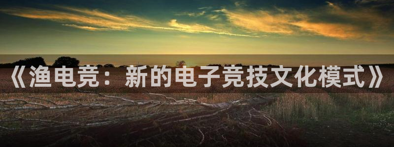MK电竞：《渔电竞：新的电子竞技文化模式》
