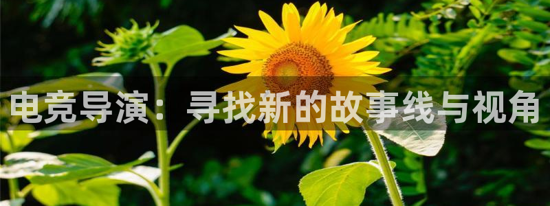 MK电竞：电竞导演：寻找新的故事线与视角