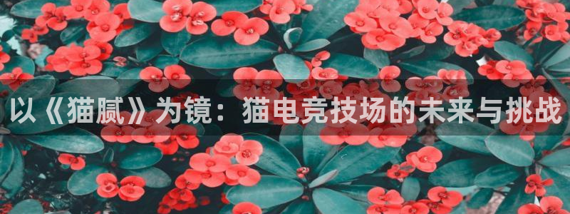 MK电竞：以《猫腻》为镜：猫电竞技场的未来与挑战
