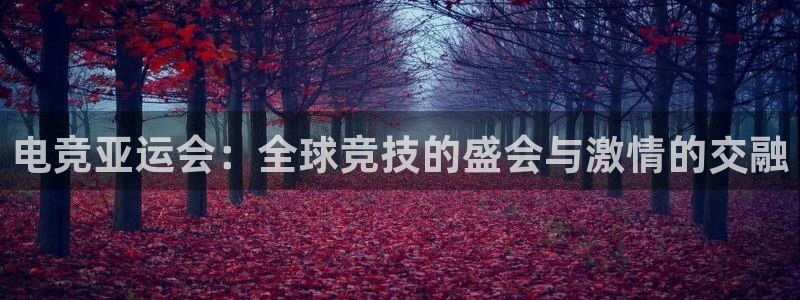 mk电子竞技：电竞亚运会：全球竞技的盛会与激情的交融