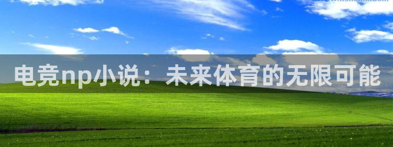 MK电竞官网：电竞np小说：未来体育的无限可能