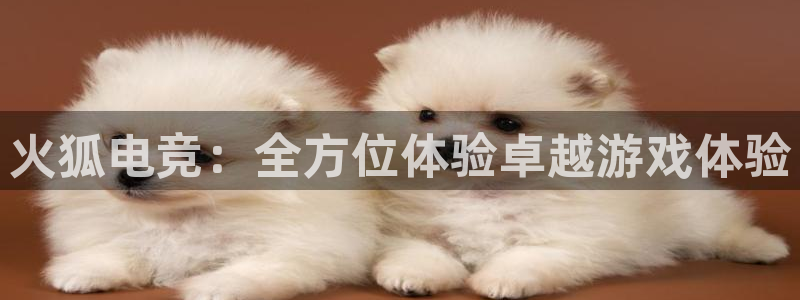 MK电竞：火狐电竞：全方位体验卓越游戏体验