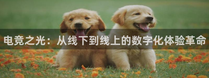 mk电子竞技：电竞之光：从线下到线上的数字化体验革命
