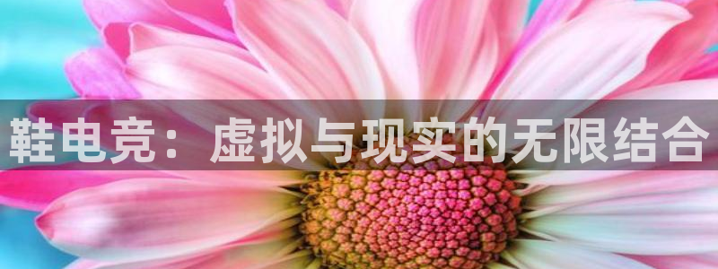 MK电竞：鞋电竞：虚拟与现实的无限结合